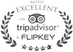 Trip Advisor Logo
